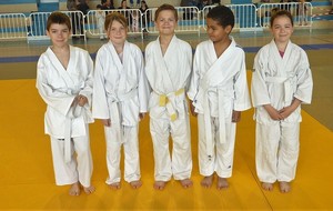 Interclubs à Tournon pour les jeunes du Dojo