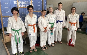 Challenge de Rhodia Judo