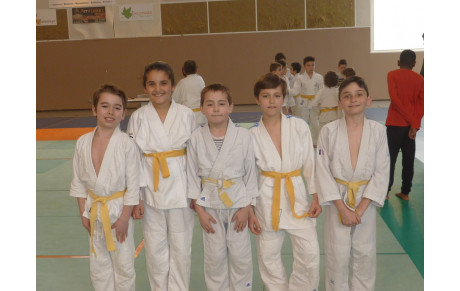 Le Dojo au challenge de Chabeuil