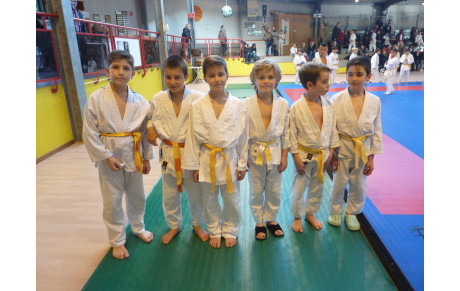 Première sortie pour les 2008/2009 du Dojo