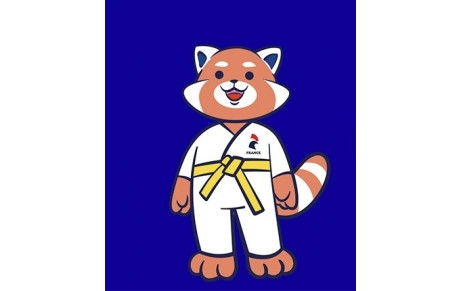 Animation départementale * Voyage de Kodomo*