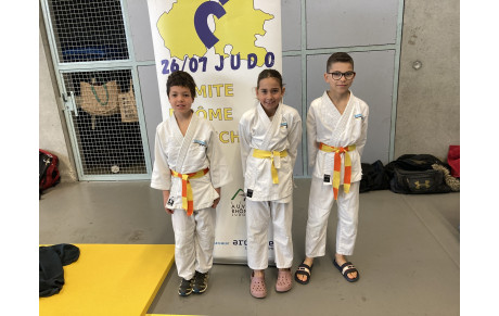 Les poussins (es) au challenge départemental